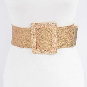 Wide Metal Buckle Clear Belt